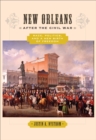 Image for New Orleans after the Civil War: race, politics, and a new birth of freedom