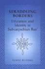Image for Literature and identity in subcarpathian Rus&#39;