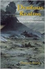 Image for Perilous Realms : Celtic and Norse in Tolkien&#39;s Middle-Earth