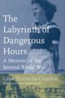 Image for The Labyrinth of Dangerous Hours : A Memoir of the Second World War