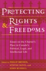 Image for Protecting Rights and Freedoms