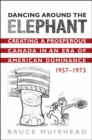 Image for Dancing Around the Elephant