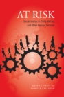 Image for At Risk : Social Justice in Child Welfare and Other Human Services