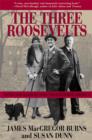 Image for The Three Roosevelts