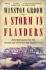Image for A Storm in Flanders : The Ypres Salient, 1914-1918: Tragedy and Triumph on the Western Front