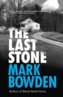 Image for The last stone: a masterpiece of criminal interrogation