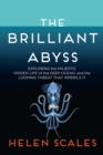 Image for Brilliant Abyss: Exploring the Majestic Hidden Life of the Deep Ocean, and the Looming Threat That Imperils It