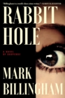 Image for Rabbit Hole: A Novel of Suspense