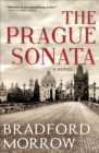 Image for The Prague sonata: a novel