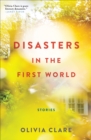 Image for Disasters in the first world: stories