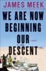 Image for We Are Now Beginning Our Descent: A Novel