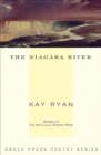Image for The Niagara River: poems