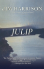 Image for Julip: A Novel
