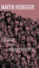 Image for Essays in Metaphysics