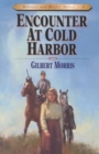 Image for Encounter at Cold Harbor