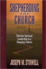 Image for Shepherding the Church