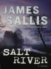 Image for Salt river: a novel