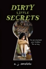 Image for Dirty little secrets