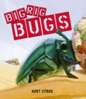 Image for Big Rig Bugs