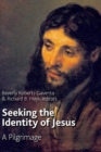 Image for Seeking the identity of Jesus  : a pilgrimage