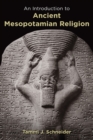 Image for Introduction to Ancient Mesopotamian Religion