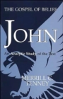 Image for John : The Gospel of Belief the Analytic Study of the Text