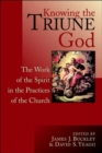 Image for Knowing the Triune God : The Work of the Spirit in the Practices of the Church / Edited by James J. Buckley and David S. Yeago.
