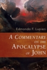 Image for A Commentary on the Apocalypse of John