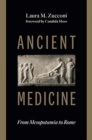 Image for Ancient Medicine : From Mesopotamia to Rome