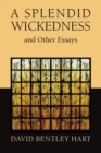 Image for A splendid wickedness and other essays