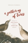 Image for A gathering of larks  : letters to Saint Francis from a modern-day pilgrim