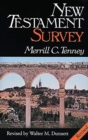 Image for New Testament Survey