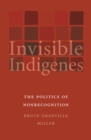 Image for Invisible Indigenes: The Politics of Nonrecognition.