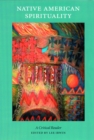 Image for Native American Spirituality: A Critical Reader