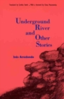 Image for Underground River and Other Stories
