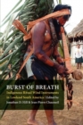 Image for Burst of breath  : indigenous ritual wind instruments in lowland South America