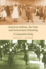 Image for American Indians, the Irish, and government schooling  : a comparative study