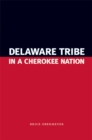Image for Delaware Tribe in a Cherokee Nation