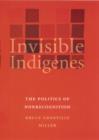 Image for Invisible Indigenes