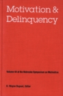 Image for Nebraska Symposium on Motivation, 1996, Volume 44 : Motivation and Delinquency