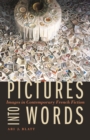 Image for Pictures into words  : images in contemporary French fiction