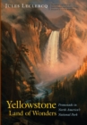 Image for Yellowstone, land of wonders  : promenade in North America&#39;s national park