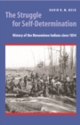 Image for Struggle for Self-Determination: History of the Menominee Indians since 1854