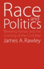 Image for Race and Politics