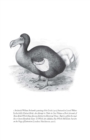 Image for Flock together  : a love affair with extinct birds