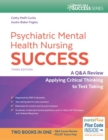 Image for Psychiatric Mental Health Nursing Success, 3e