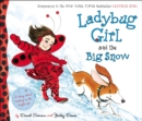Image for Ladybug Girl and the Big Snow