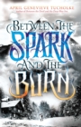 Image for Between the Spark and the Burn