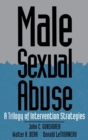 Image for Male Sexual Abuse : A Trilogy of Intervention Strategies