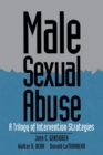 Image for Male Sexual Abuse : A Trilogy of Intervention Strategies